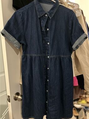 Dark Blue Denim Button-Front Mini Dress